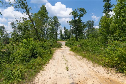 Creek Hollow Phase II Tract 71