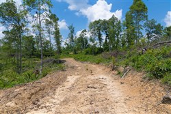 Creek Hollow Phase II Tract 71
