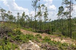 Creek Hollow Phase II Tract 71
