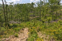 Creek Hollow Phase II Tract 71