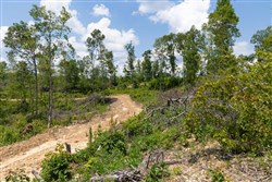 Creek Hollow Phase II Tract 71