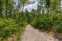 Creek Hollow Phase II Tract 72