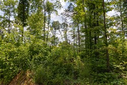 Creek Hollow Phase II Tract 72