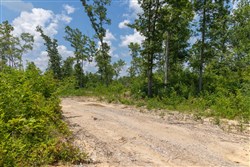 Creek Hollow Phase II Tract 72