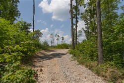 Creek Hollow Phase II Tract 72