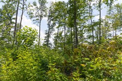Creek Hollow Phase II Tract 72