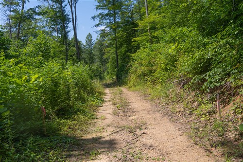 Creek Hollow Phase II Tract 73