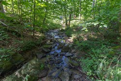 Creek Hollow Phase II Tract 73