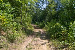 Creek Hollow Phase II Tract 73