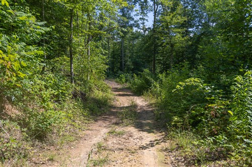 Creek Hollow Phase II Tract 73