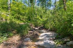 Creek Hollow Phase II Tract 73