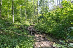 Creek Hollow Phase II Tract 73