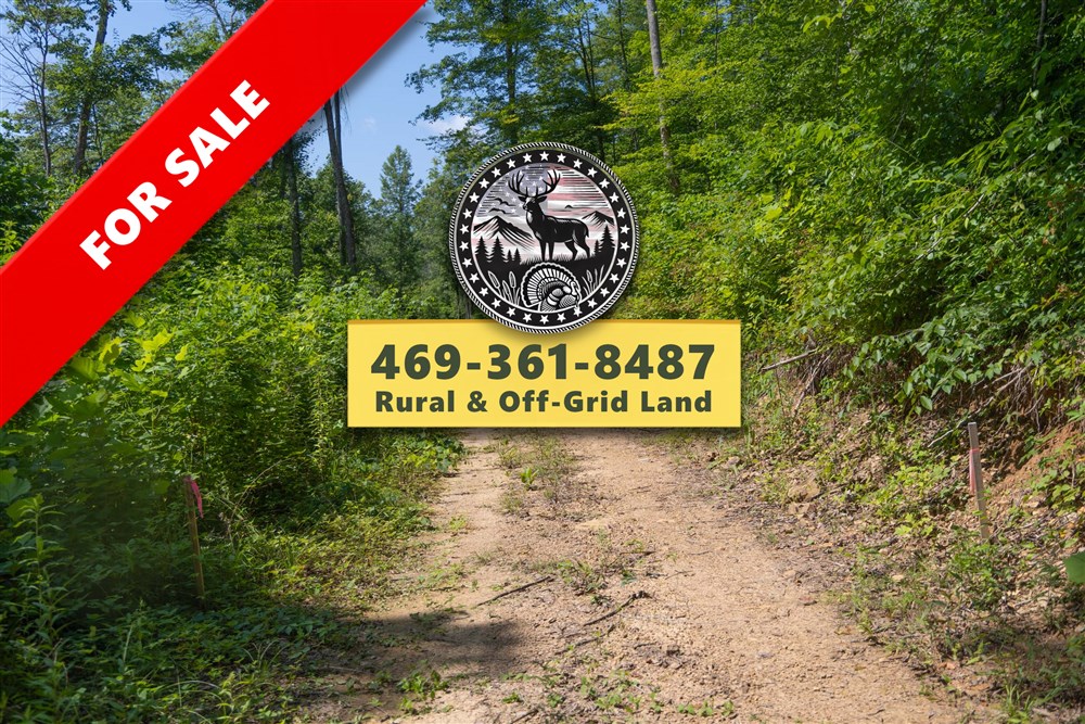 Creek Hollow Phase II Tract 73 - Primary