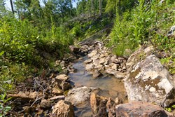 Creek Hollow Phase II Tract 74