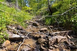 Creek Hollow Phase II Tract 74