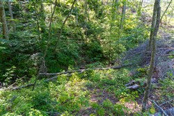 Creek Hollow Phase II Tract 74