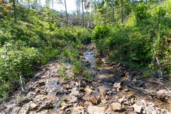Creek Hollow Phase II Tract 74