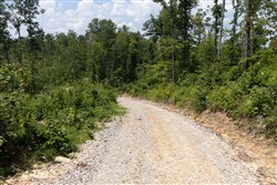 Creek Hollow Phase II Tract 75