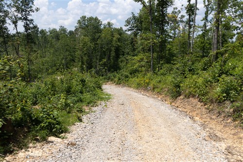 Creek Hollow Phase II Tract 75