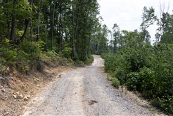Creek Hollow Phase II Tract 75