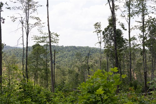 Creek Hollow Phase II Tract 75