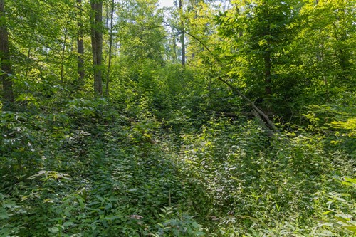 Creek Hollow Phase II Tract 76