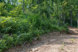Creek Hollow Phase II Tract 76