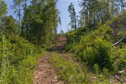 Creek Hollow Phase II Tract 77