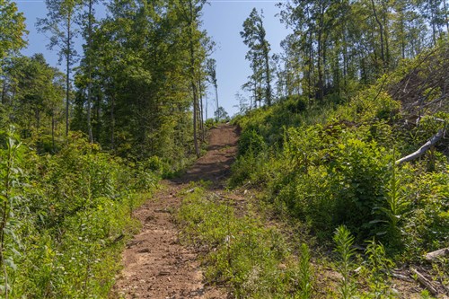 Creek Hollow Phase II Tract 77