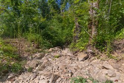 Creek Hollow Phase II Tract 77