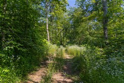 Creek Hollow Phase II Tract 77