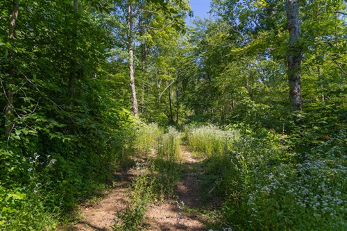 Creek Hollow Phase II Tract 77