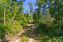 Creek Hollow Phase II Tract 77