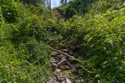 Creek Hollow Phase II Tract 77