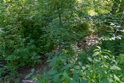 Creek Hollow Phase II Tract 77