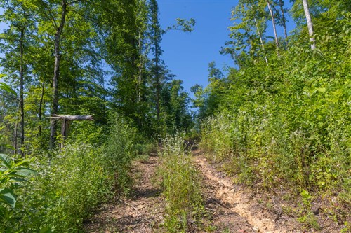 Creek Hollow Phase II Tract 78