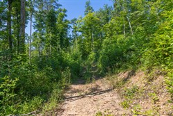 Creek Hollow Phase II Tract 78
