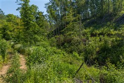 Creek Hollow Phase II Tract 78