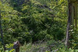 Creek Hollow Phase II Tract 78