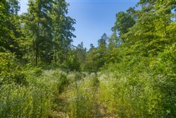Creek Hollow Phase II Tract 78