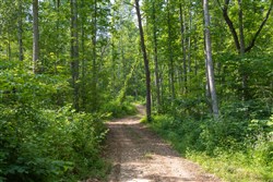 Creek Hollow Phase II Tract 79