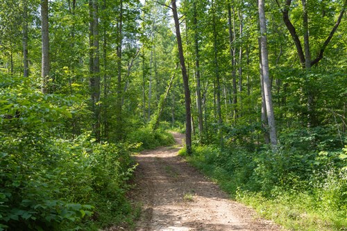 Creek Hollow Phase II Tract 79