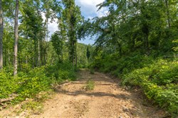Creek Hollow Phase II Tract 79