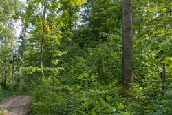 Creek Hollow Phase II Tract 79