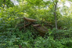 Creek Hollow Phase II Tract 79