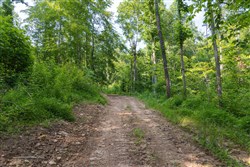 Creek Hollow Phase II Tract 80