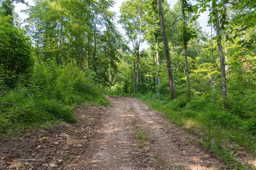 Creek Hollow Phase II Tract 80
