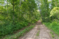 Creek Hollow Phase II Tract 80