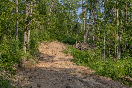 Creek Hollow Phase II Tract 81