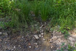 Creek Hollow Phase II Tract 81
